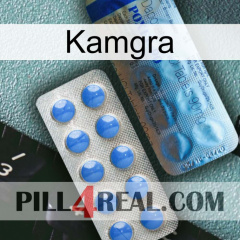 Kamgra 40